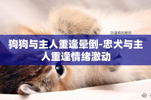 狗狗與主人重逢暈倒-忠犬與主人重逢情緒激動