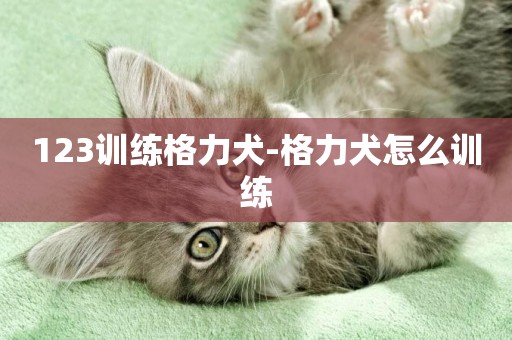 123訓練格力犬-格力犬怎么訓練