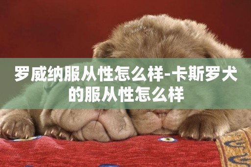 羅威納服從性怎么樣-卡斯羅犬的服從性怎么樣