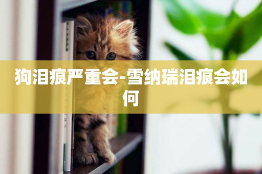 狗淚痕嚴重會-雪納瑞淚痕會如何