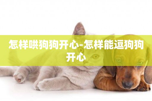 怎樣哄狗狗開心-怎樣能逗狗狗開心