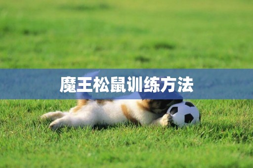魔王松鼠訓練方法