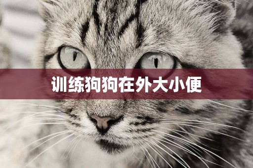 訓練狗狗在外大小便