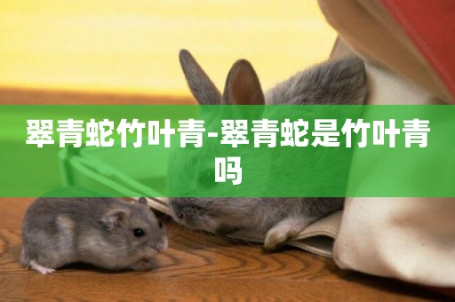 翠青蛇竹葉青-翠青蛇是竹葉青嗎