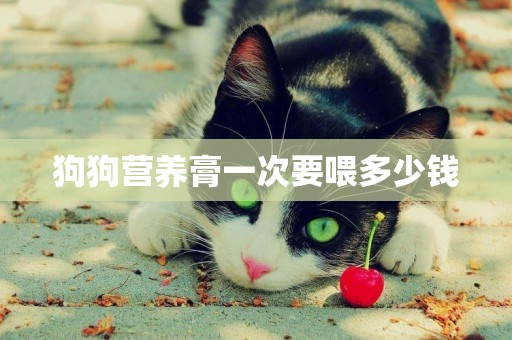 狗狗營養膏一次要喂多少錢