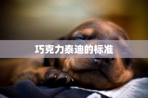 巧克力泰迪的標準