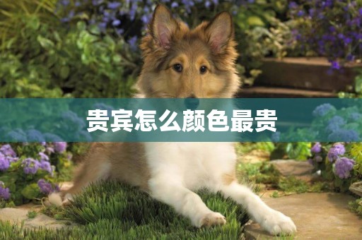 貴賓怎么顏色最貴