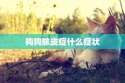 狗狗膿皮癥什么癥狀