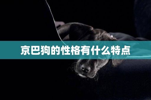 京巴狗的性格有什么特點