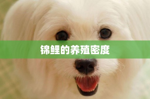 錦鯉的養殖密度