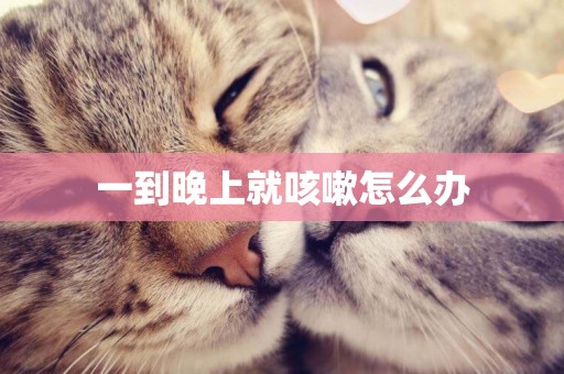 一到晚上就咳嗽怎么辦