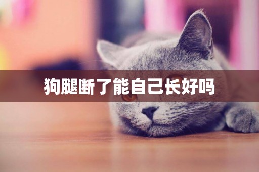 狗腿斷了能自己長好嗎