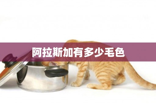阿拉斯加有多少毛色