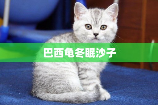 巴西龜冬眠沙子