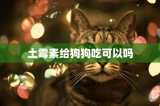 土霉素給狗狗吃可以嗎