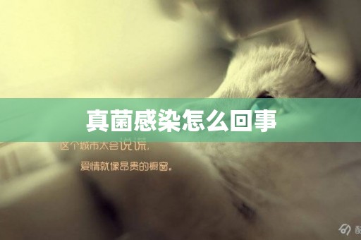 真菌感染怎么回事
