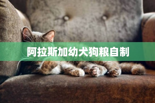 阿拉斯加幼犬狗糧自制