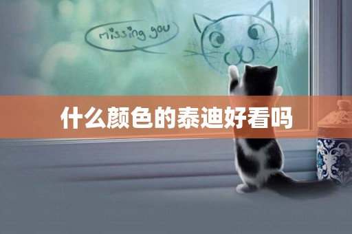 什么顏色的泰迪好看嗎