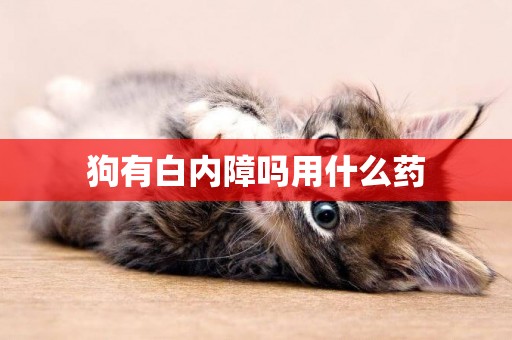狗有白內障嗎用什么藥
