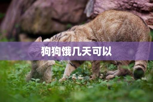 狗狗餓幾天可以