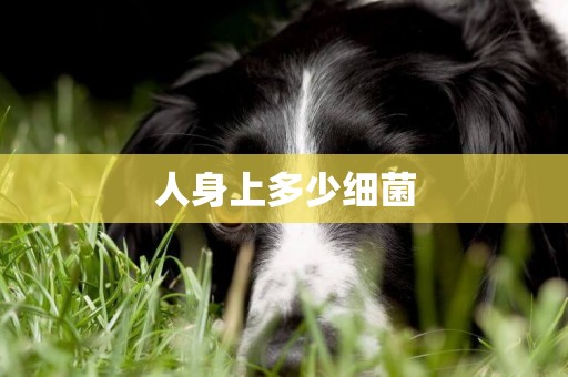 人身上多少細菌