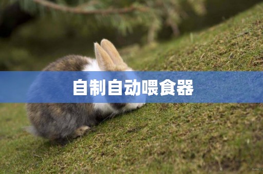 自制自動喂食器