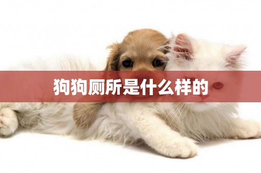 狗狗廁所是什么樣的