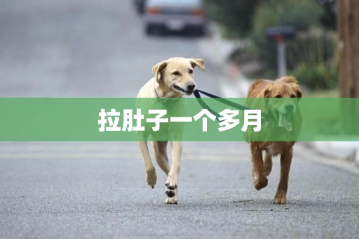 拉肚子一個多月