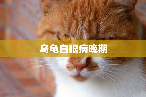 烏龜白眼病晚期