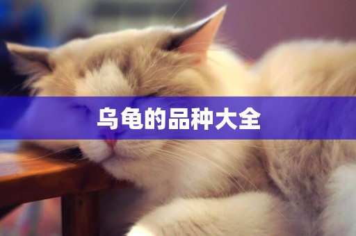 烏龜的品種大全