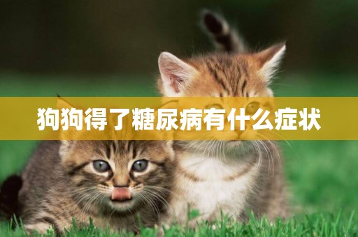 狗狗得了糖尿病有什么癥狀