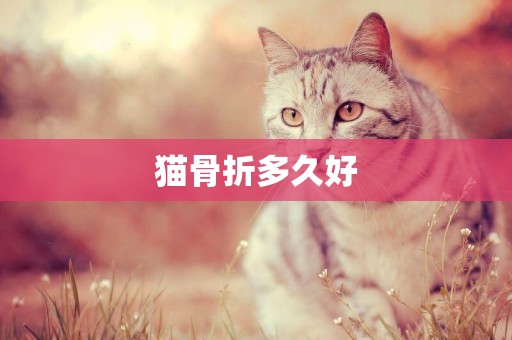 貓骨折多久好