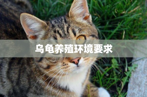 烏龜養殖環境要求