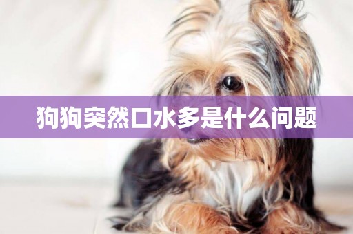 狗狗突然口水多是什么問題