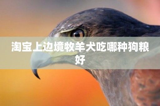 淘寶上邊境牧羊犬吃哪種狗糧好