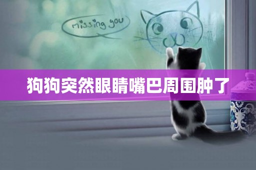 狗狗突然眼睛嘴巴周圍腫了