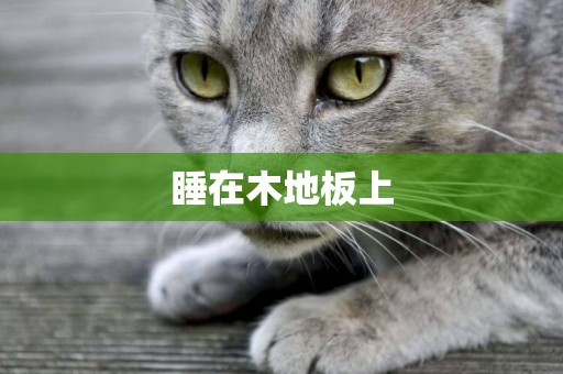 睡在木地板上