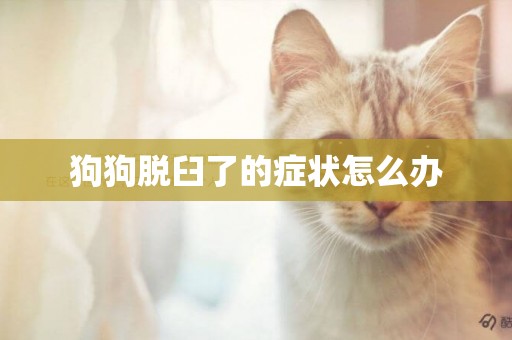 狗狗脫臼了的癥狀怎么辦