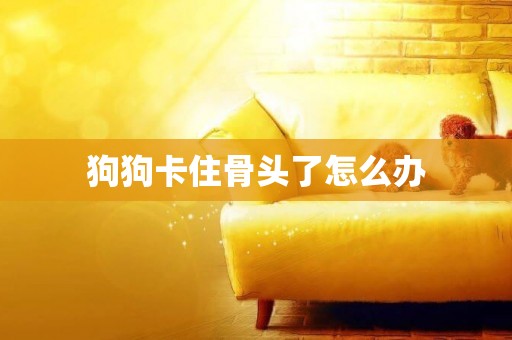 狗狗卡住骨頭了怎么辦