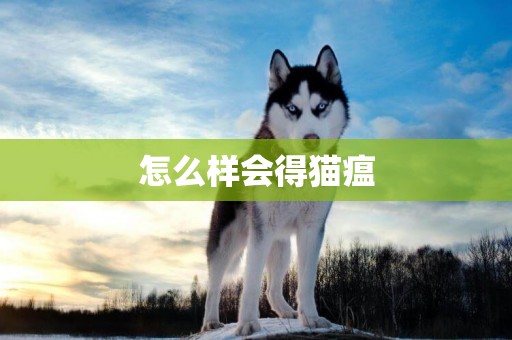 怎么樣會得貓瘟