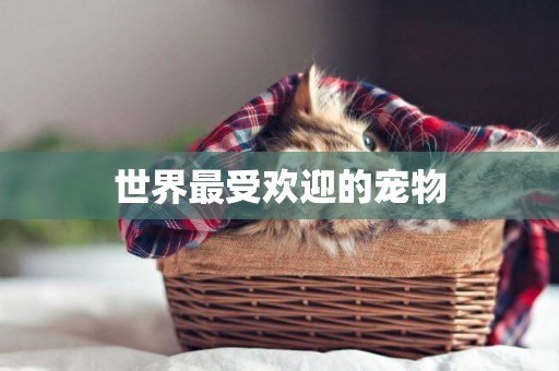 世界最受歡迎的寵物