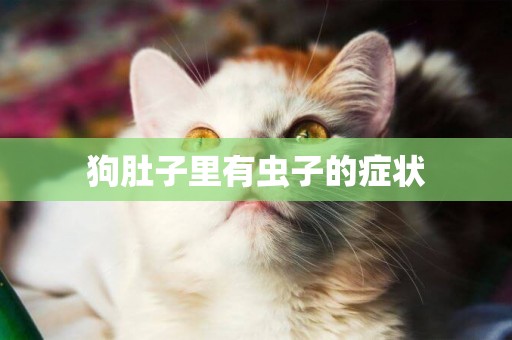 狗肚子里有蟲子的癥狀
