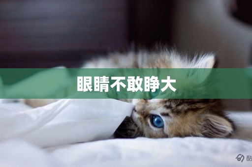眼睛不敢睜大