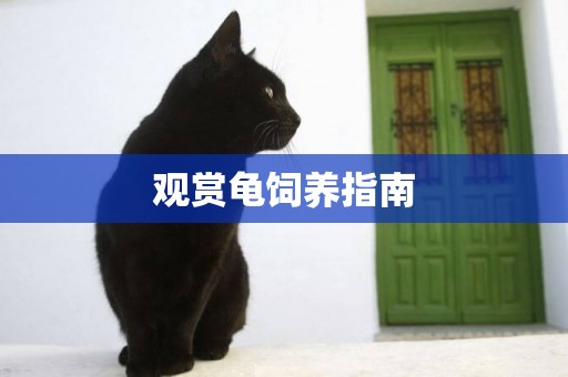 觀賞龜飼養指南