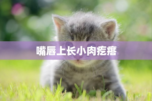 嘴唇上長小肉疙瘩