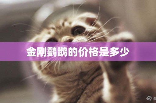 金剛鸚鵡的價格是多少