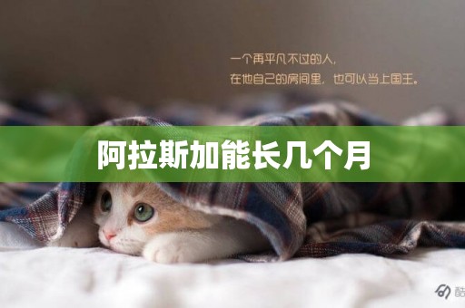 阿拉斯加能長幾個月