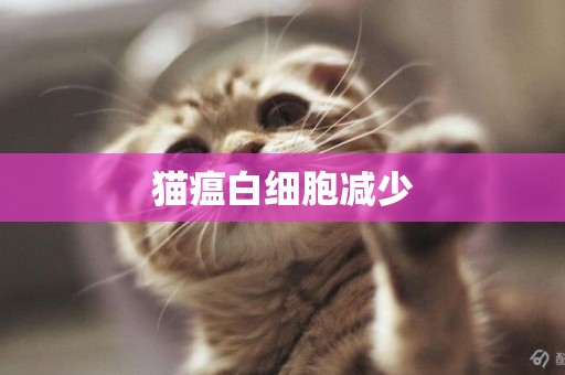貓瘟白細胞減少