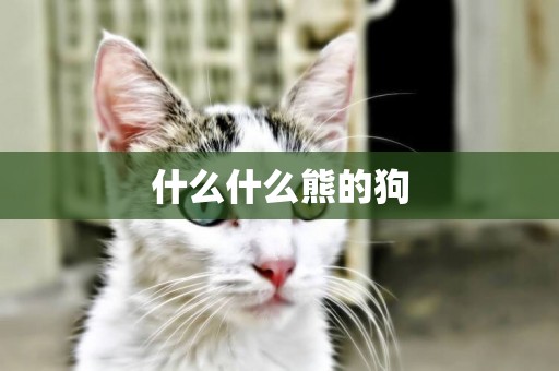 什么什么熊的狗