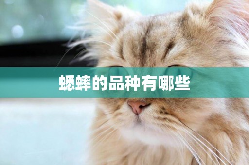 蟋蟀的品種有哪些